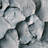 Ninox Profile