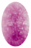 Ninox Profile