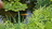 Ninox Profile