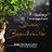 Ninox Profile