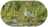 Ninox Profile