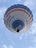 Ninox Profile
